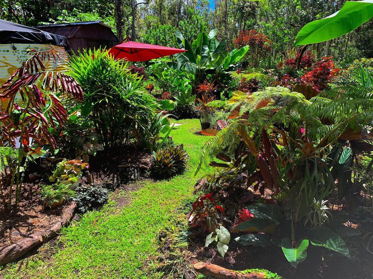 Phoenix Garden Pahoa Exteriér fotografie