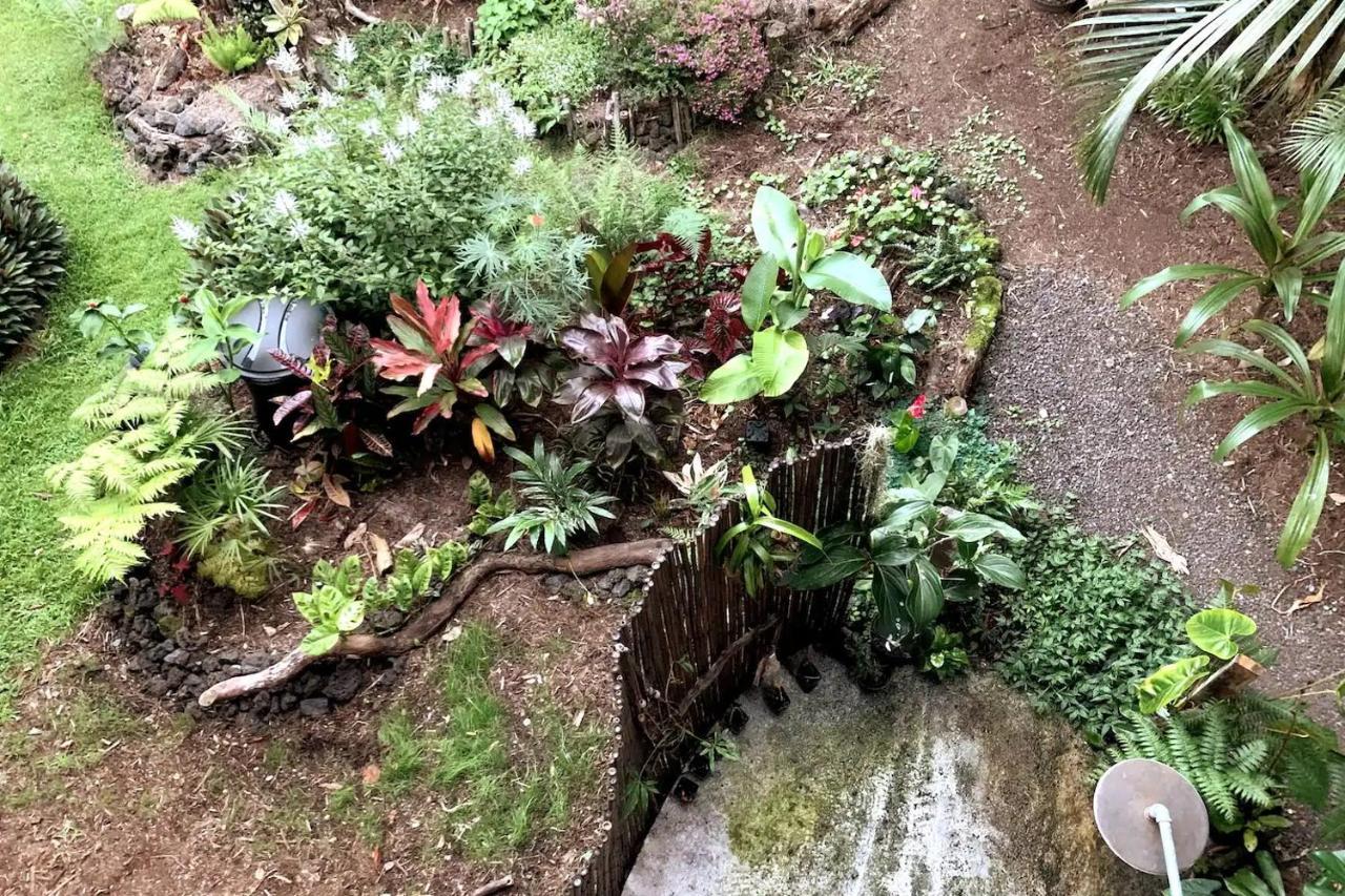 Phoenix Garden Pahoa Exteriér fotografie