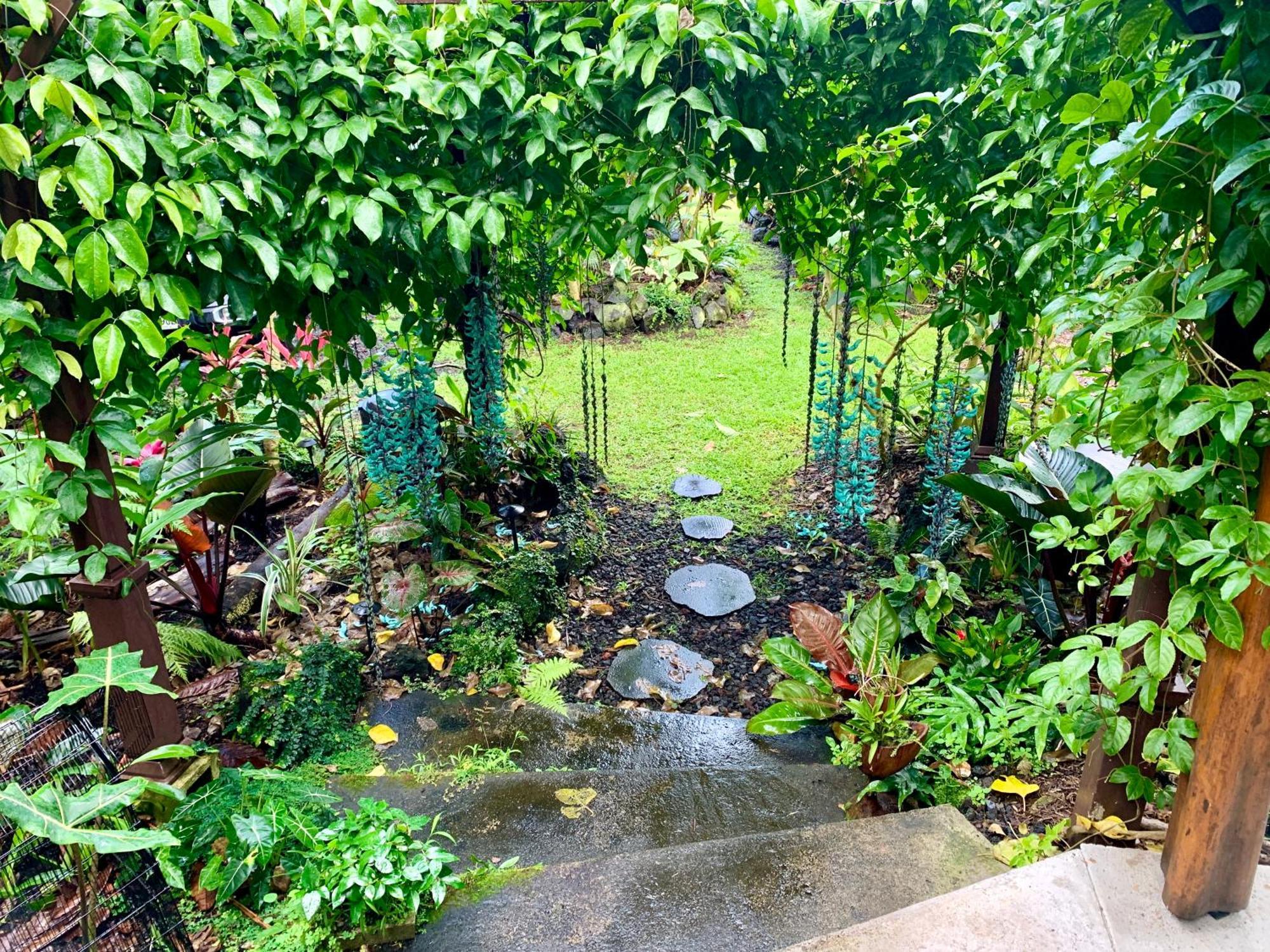 Phoenix Garden Pahoa Exteriér fotografie